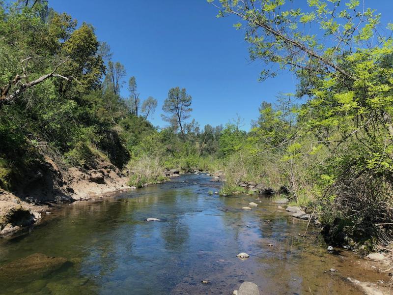 Bear Creek Falls Lodge On 67 Acres Creek & Waterfalls Millville Екстер'єр фото